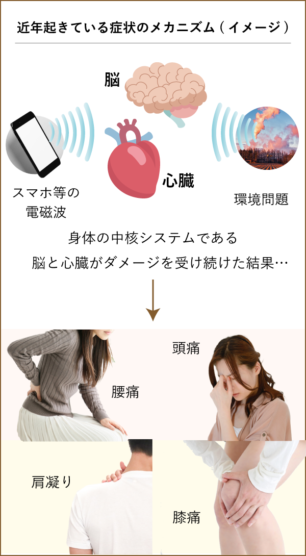 近年の症状のメカニズム
